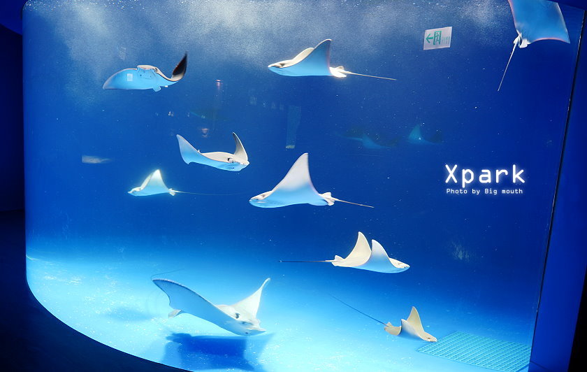 台灣好行大溪快線