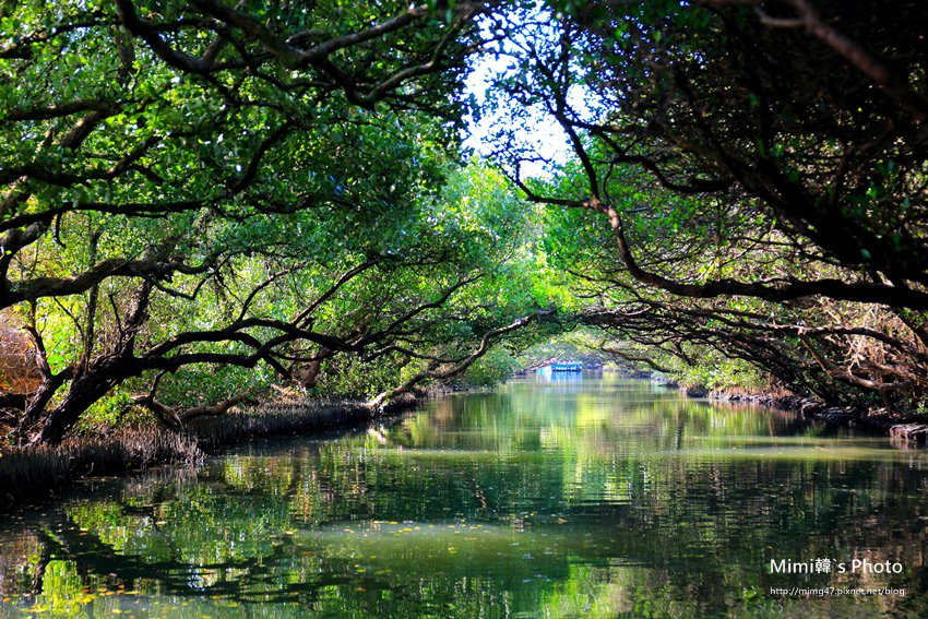 綠色之眼24.JPG 綠色之眼24.JPG