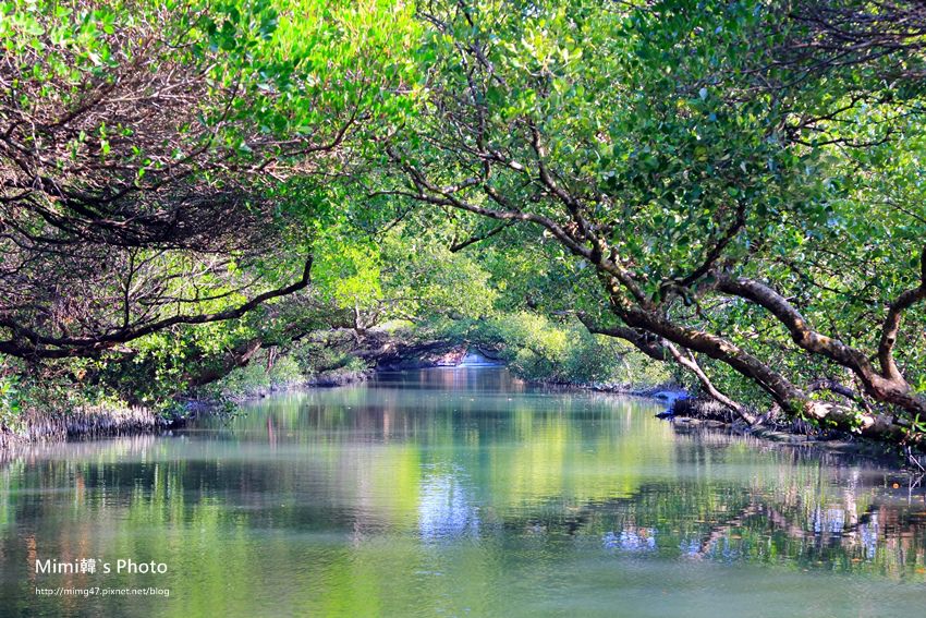 綠色之眼16.JPG 綠色之眼16.JPG