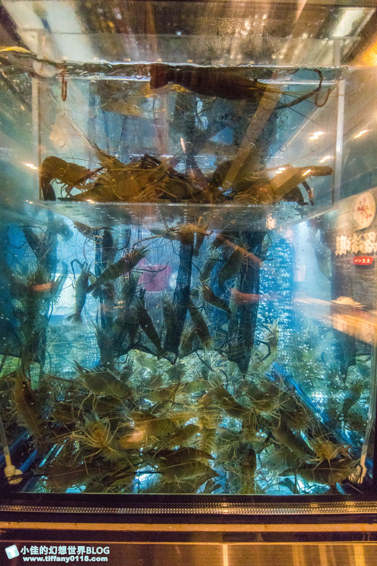[台北美食]一品活蝦安和店/全台最大活蝦連鎖店/活蝦料理口味將近20種/價格實在又好吃
