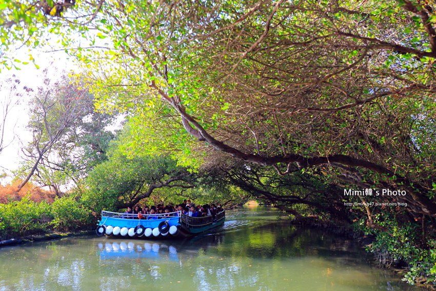 綠色之眼28.JPG 綠色之眼28.JPG