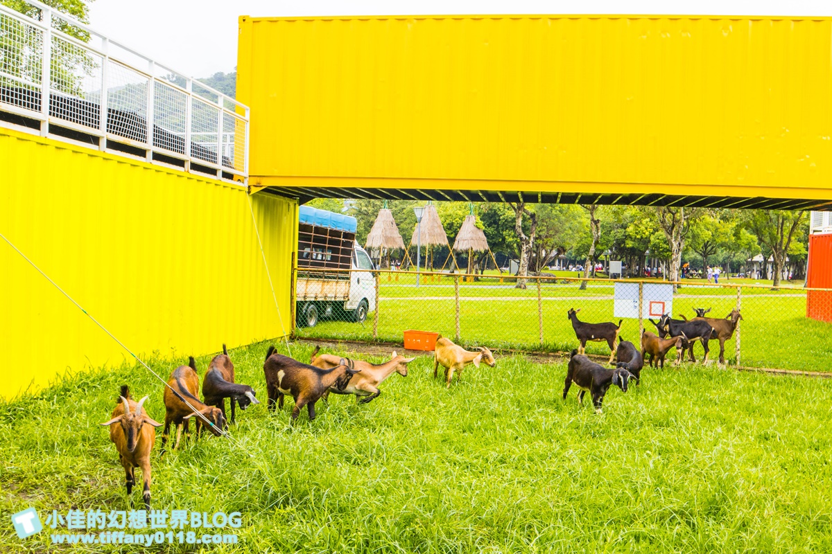 [宜蘭景點]2020武荖坑滑水同玩節/高空滑水+露營烤肉+餵羊互動+闖關遊戲/宜蘭親子景點推薦