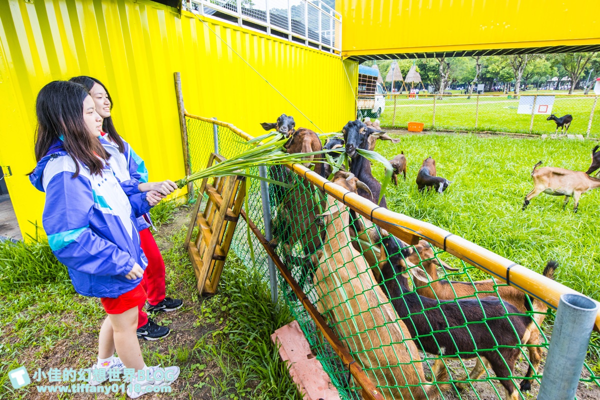 [宜蘭景點]2020武荖坑滑水同玩節/高空滑水+露營烤肉+餵羊互動+闖關遊戲/宜蘭親子景點推薦