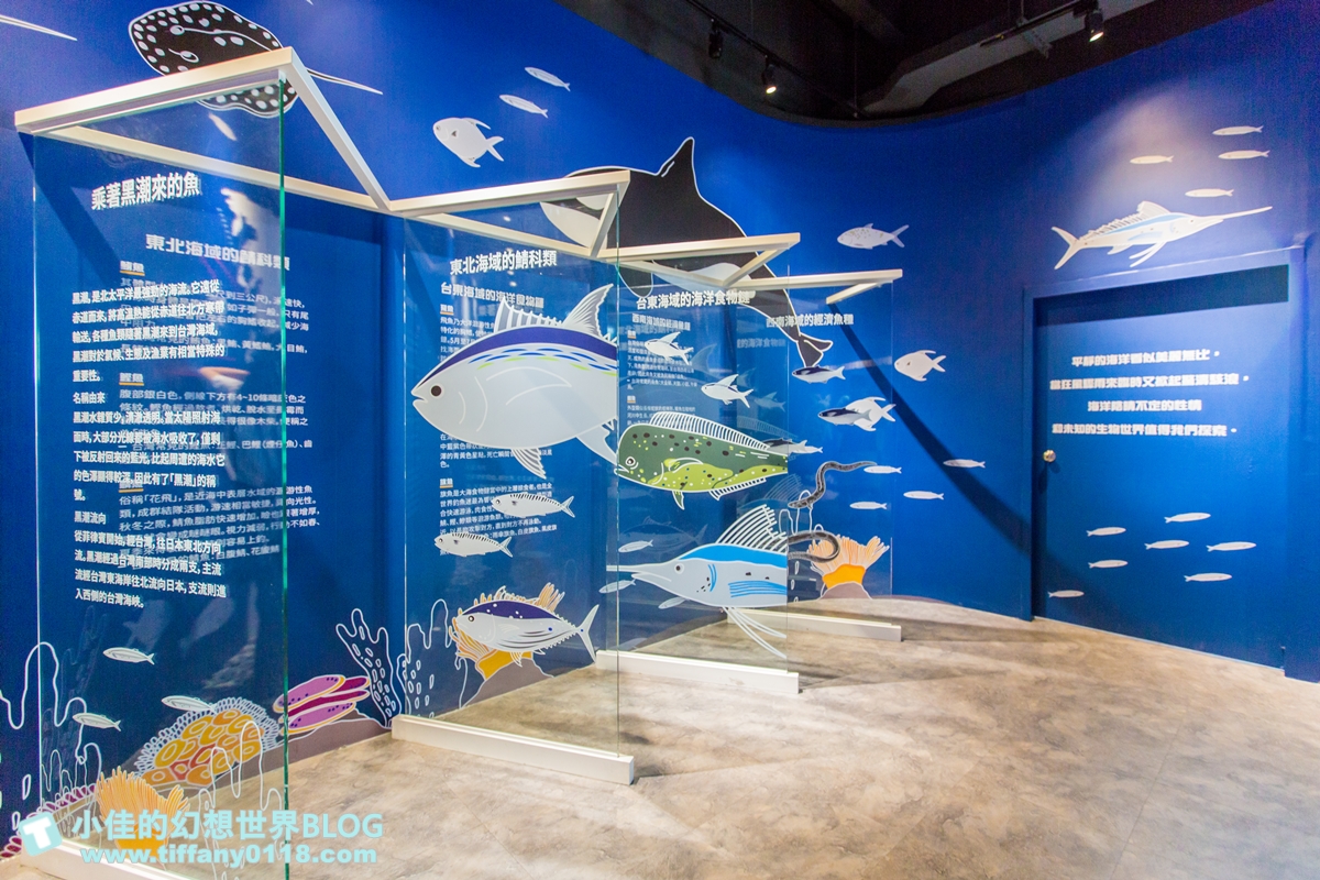 [台中景點]寶熊漁樂碼頭/全球唯一巨無霸釣魚機/3D劇場、DIY、虛擬釣場/台中室內景點推薦