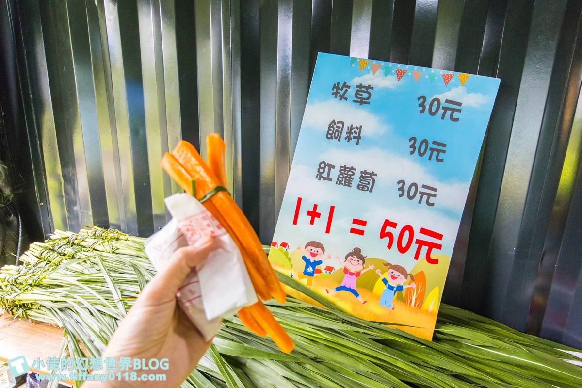 [宜蘭景點]2020武荖坑滑水同玩節/高空滑水+露營烤肉+餵羊互動+闖關遊戲/宜蘭親子景點推薦