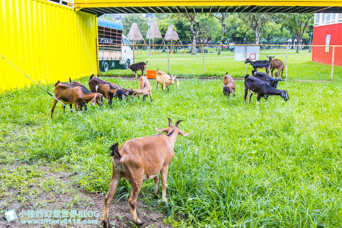[宜蘭景點]2020武荖坑滑水同玩節/高空滑水+露營烤肉+餵羊互動+闖關遊戲/宜蘭親子景點推薦