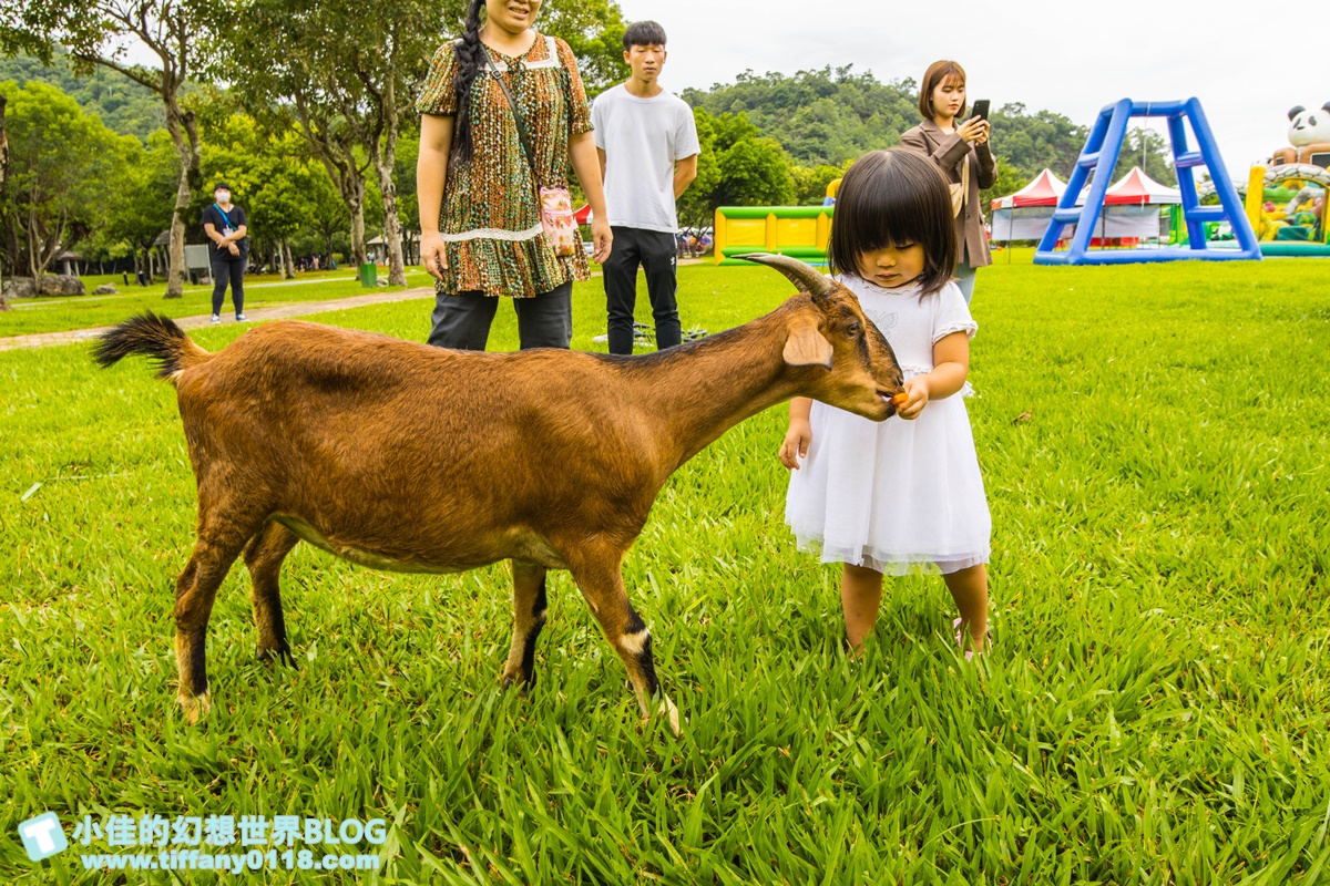 [宜蘭景點]2020武荖坑滑水同玩節/高空滑水+露營烤肉+餵羊互動+闖關遊戲/宜蘭親子景點推薦