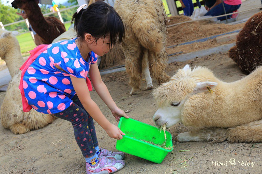嘉義獨角仙牧場-34.jpg