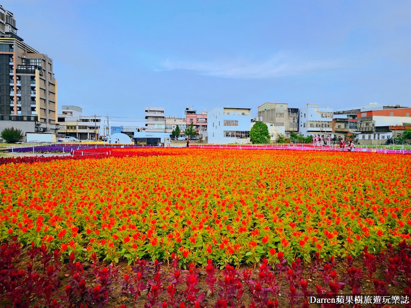 桃園綠色生活悠遊節/桃園花海/桃園花季/花彩節/蘆竹景點/蘆竹花海/蘆竹落羽松/桃園旅遊景點