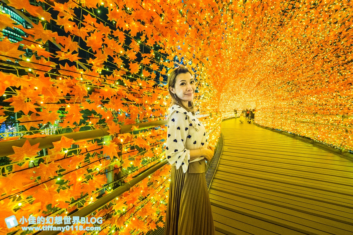 2020新北耶誕城x迪士尼/四大燈區+八大燈廊+迪士尼裝置藝術總整理/教你怎麼玩怎麼去