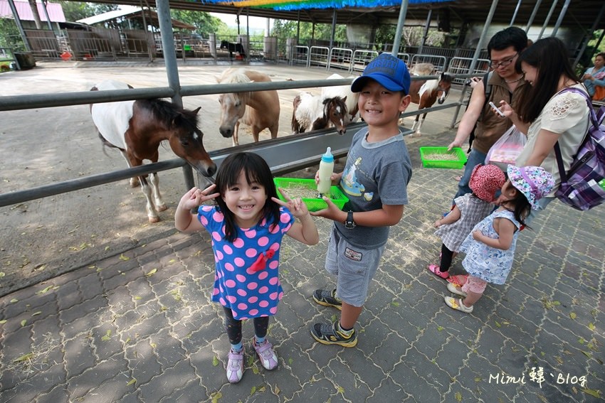 嘉義獨角仙牧場-8.jpg