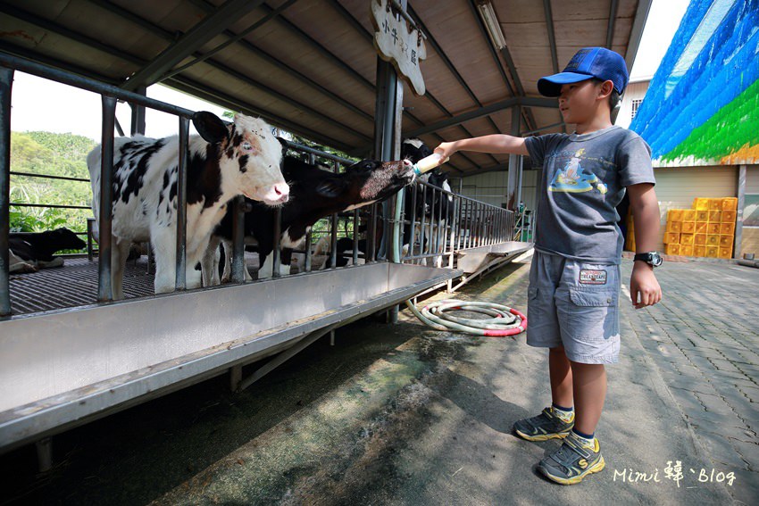 嘉義獨角仙牧場-9.jpg