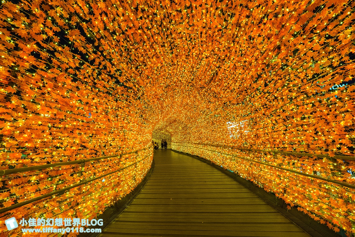 2020新北耶誕城x迪士尼/四大燈區+八大燈廊+迪士尼裝置藝術總整理/教你怎麼玩怎麼去