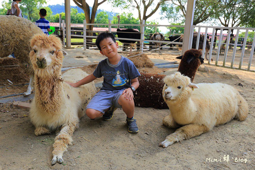 嘉義獨角仙牧場-33.jpg