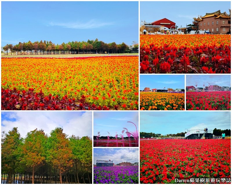 桃園綠色生活悠遊節/桃園花海/桃園花季/花彩節/蘆竹景點/蘆竹花海/蘆竹落羽松/桃園旅遊景點