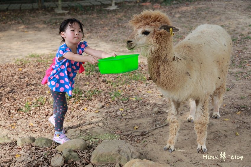 嘉義獨角仙牧場-36.jpg
