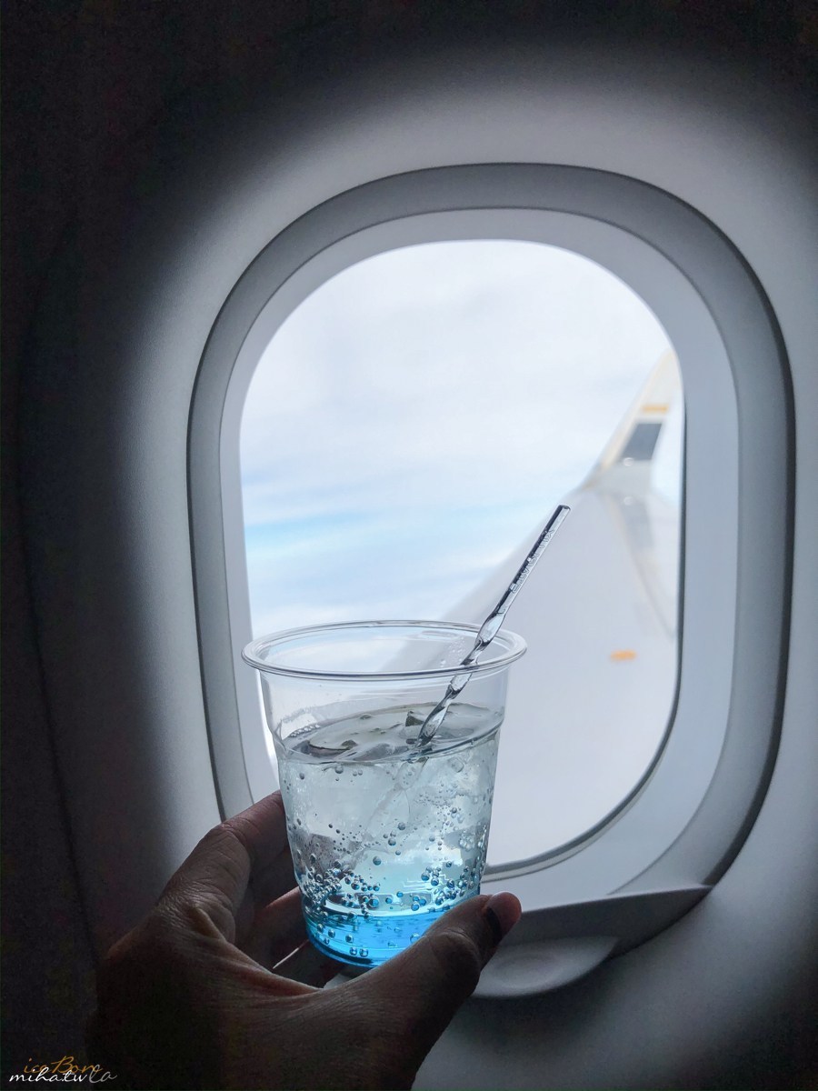 星宇航空,台北台南,雙城號,隱藏美食,台南好吃,台南美食,台南景點,台南推薦,台南好玩,白糖粿,鹿早食器,黃金海岸方舟,偽出國,蜜月