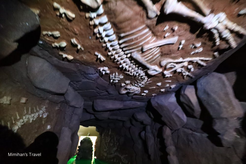 侏羅紀恐龍水世界嘉義站化石探險