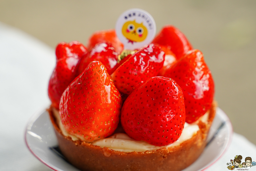 草莓蛋糕 草莓塔 乳酪塔 草莓控 高雄美食 高雄伴手禮 高雄必吃 魯道芙 前鎮美食