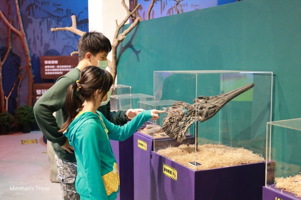 侏羅紀恐龍水世界化石