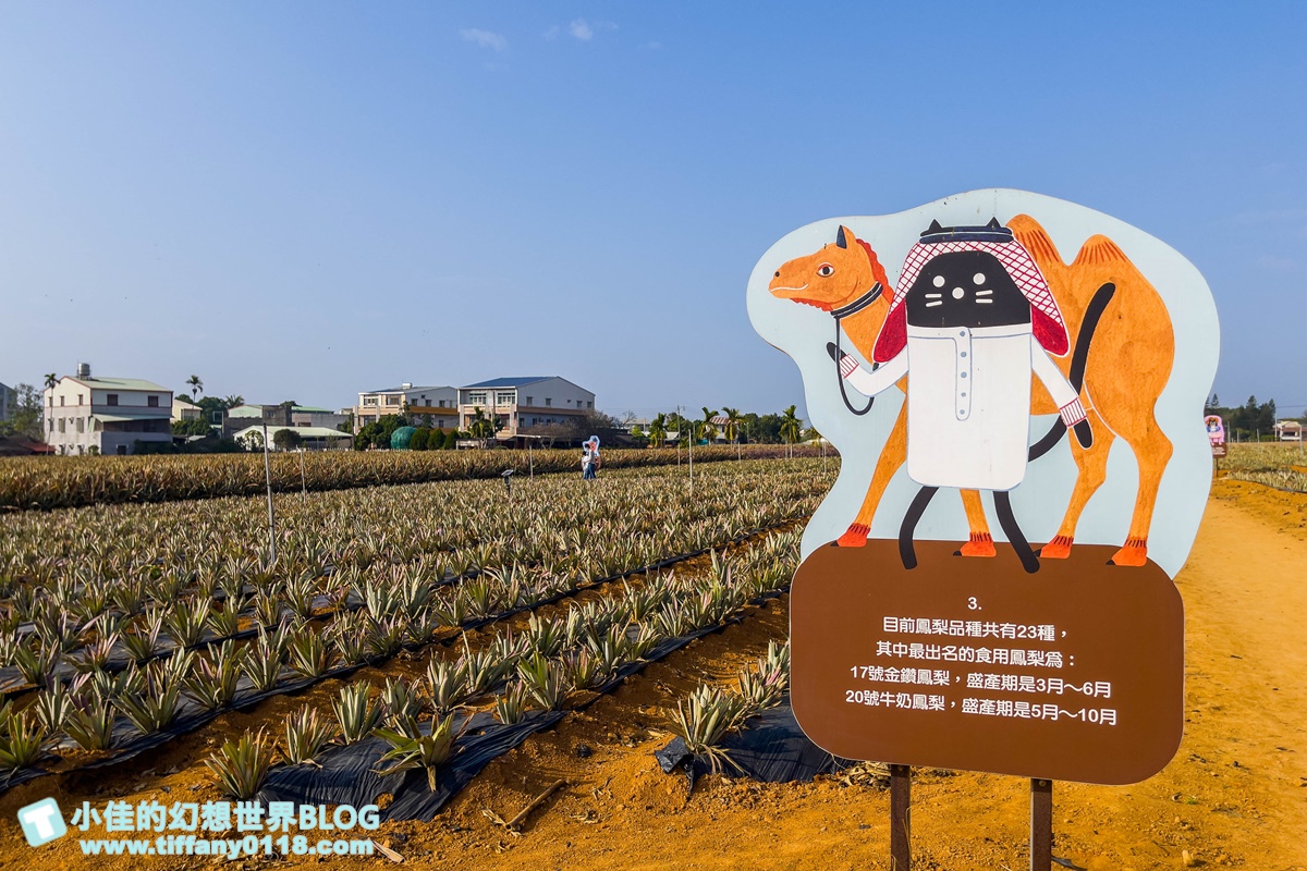 [嘉義景點]旺萊山鳳梨文化園區/免門票的嘉義觀光工廠/免費試吃鳳梨酥和醋飲