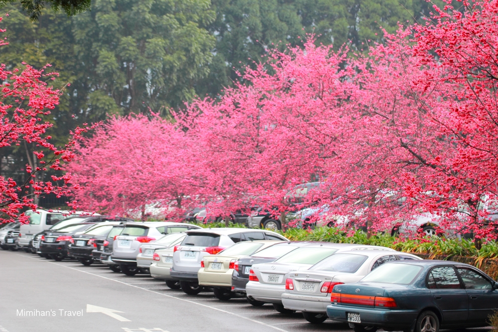 九族文化村停車場