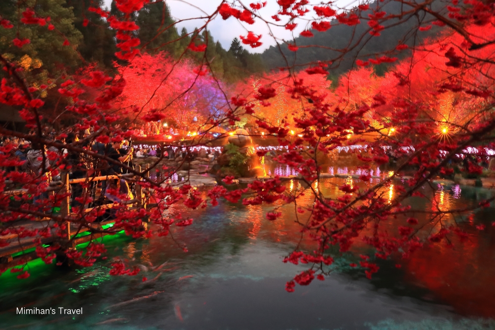 九族文化村夜櫻