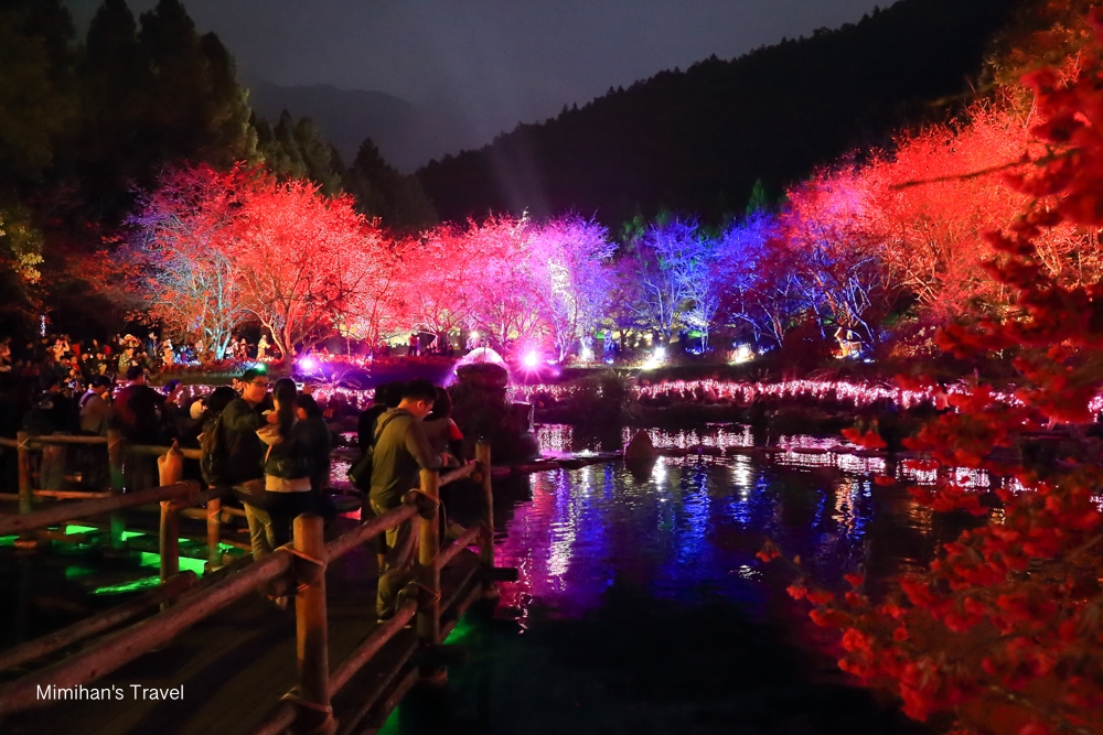 九族文化村夜櫻