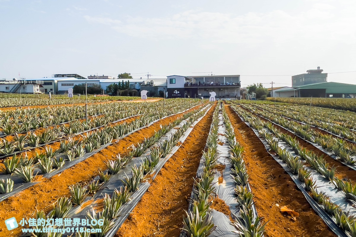[嘉義景點]旺萊山鳳梨文化園區/免門票的嘉義觀光工廠/免費試吃鳳梨酥和醋飲