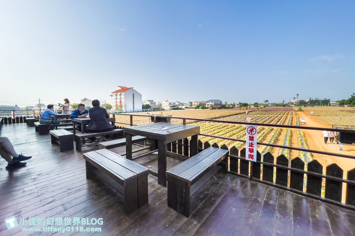 [嘉義景點]旺萊山鳳梨文化園區/免門票的嘉義觀光工廠/免費試吃鳳梨酥和醋飲