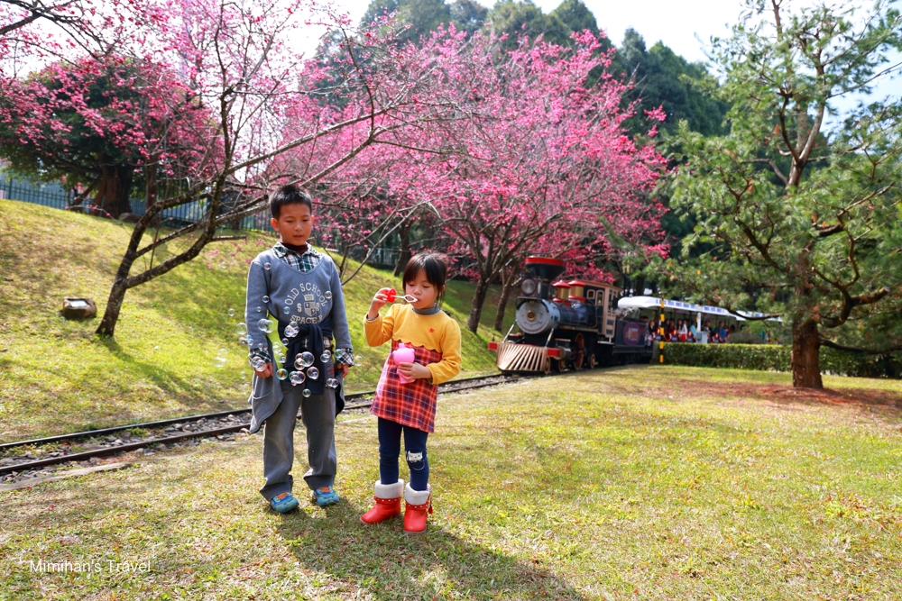 九族文化村小火車