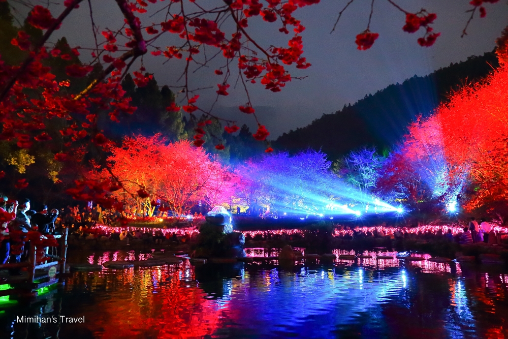 九族文化村夜櫻