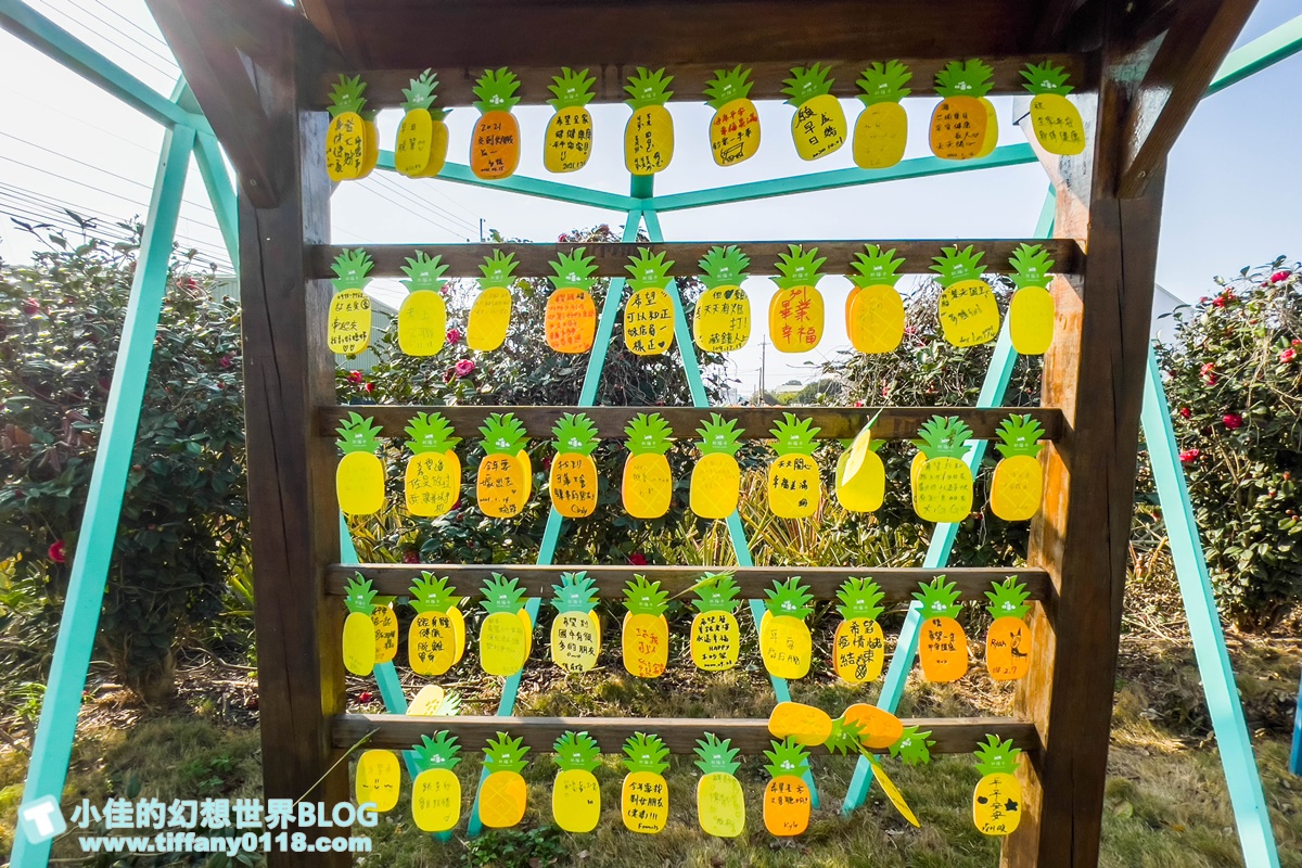 [嘉義景點]旺萊山鳳梨文化園區/免門票的嘉義觀光工廠/免費試吃鳳梨酥和醋飲