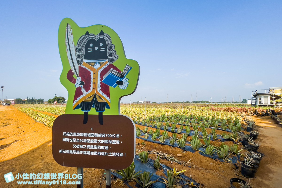 [嘉義景點]旺萊山鳳梨文化園區/免門票的嘉義觀光工廠/免費試吃鳳梨酥和醋飲