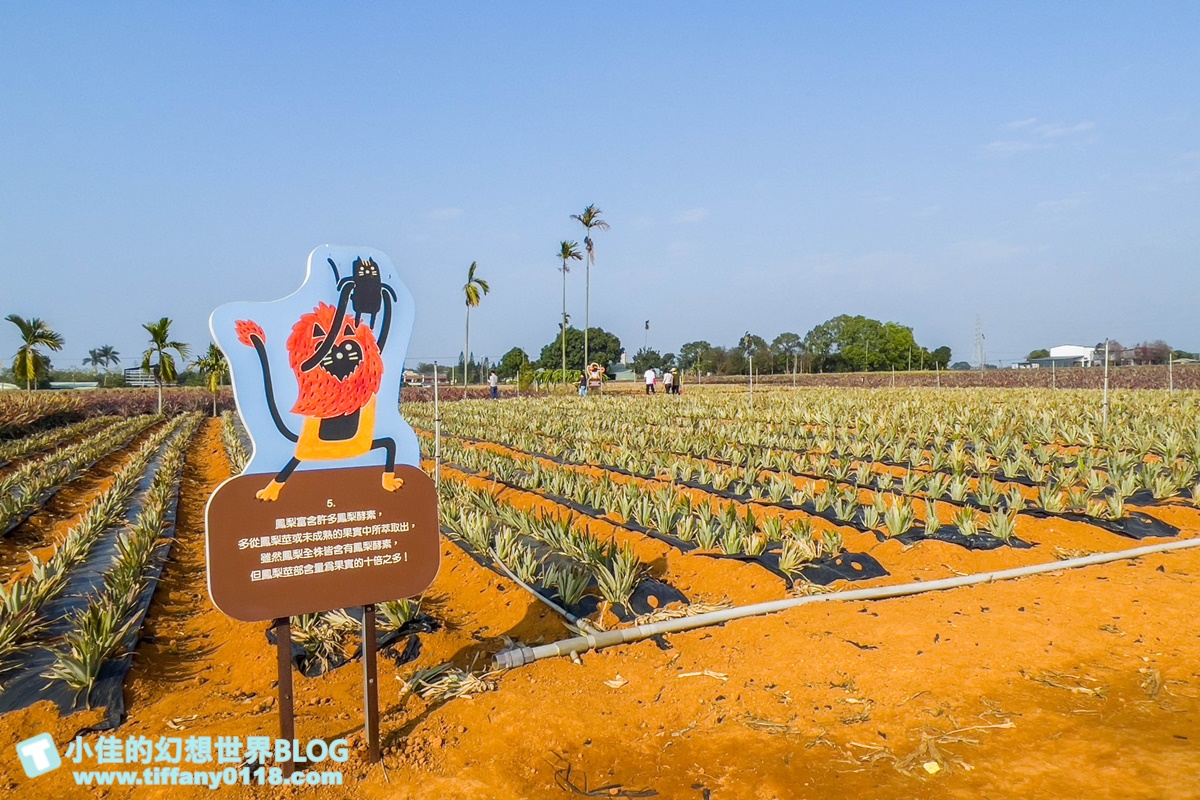 [嘉義景點]旺萊山鳳梨文化園區/免門票的嘉義觀光工廠/免費試吃鳳梨酥和醋飲