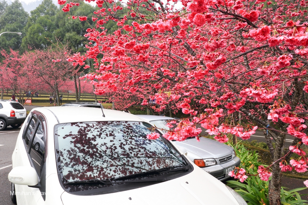 九族文化村交通