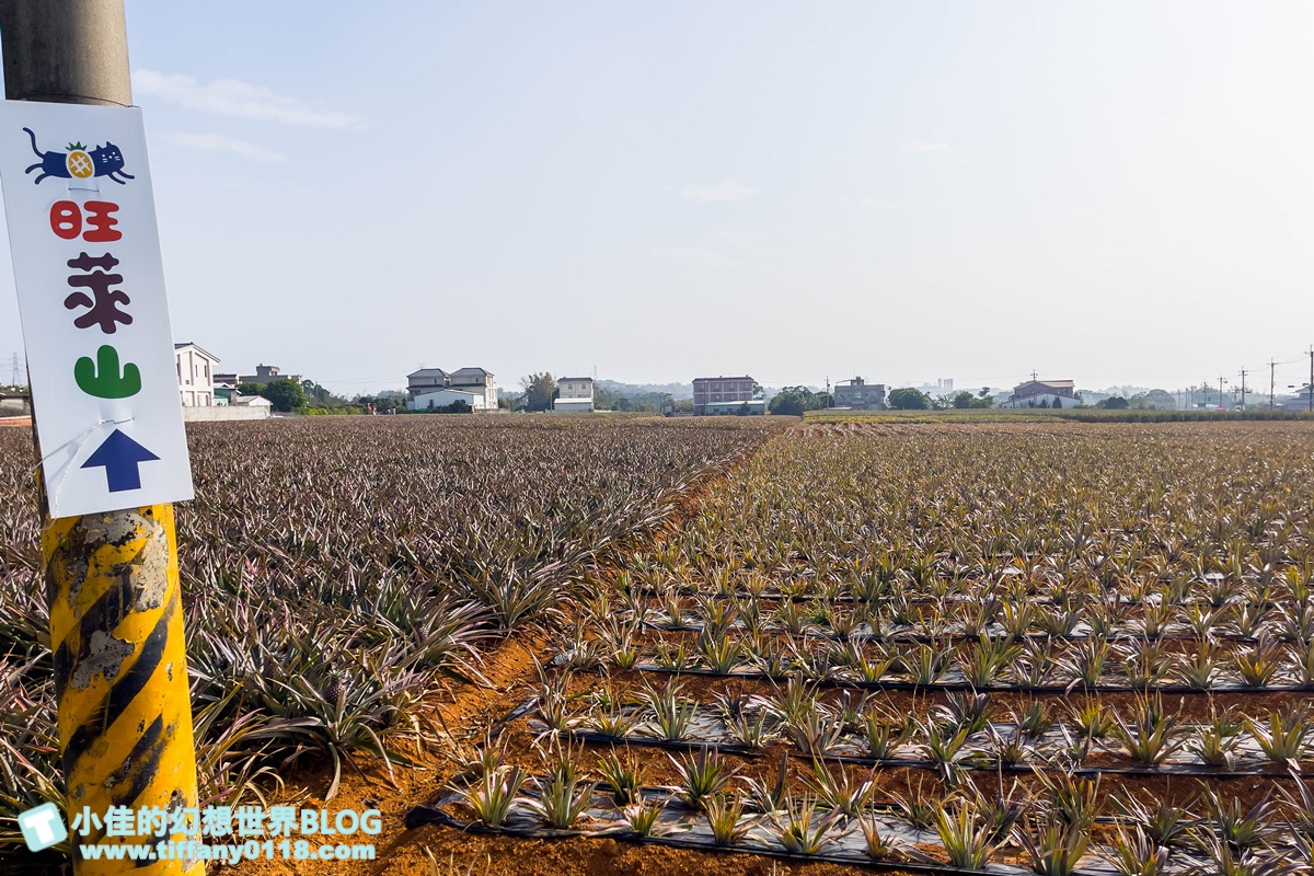 [嘉義景點]旺萊山鳳梨文化園區/免門票的嘉義觀光工廠/免費試吃鳳梨酥和醋飲