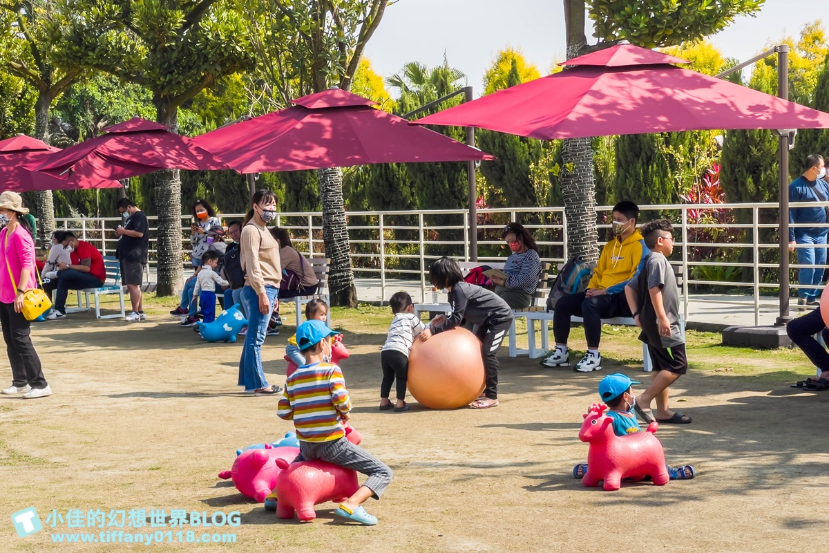 [嘉義景點]三隻小豬觀光農場/大草原+多功能溜滑梯+餵食動物+開放式鳥園+親子DIY/好拍好玩的嘉義親子景點推薦