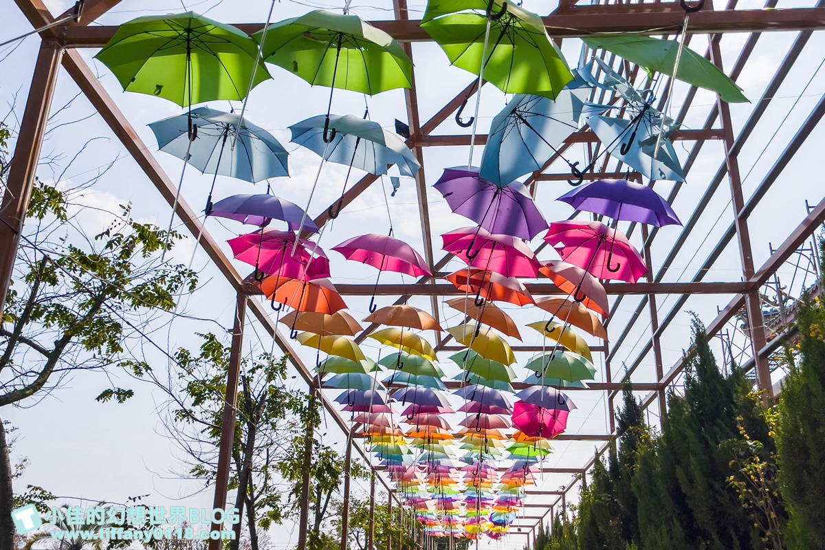 [嘉義景點]三隻小豬觀光農場/大草原+多功能溜滑梯+餵食動物+開放式鳥園+親子DIY/好拍好玩的嘉義親子景點推薦