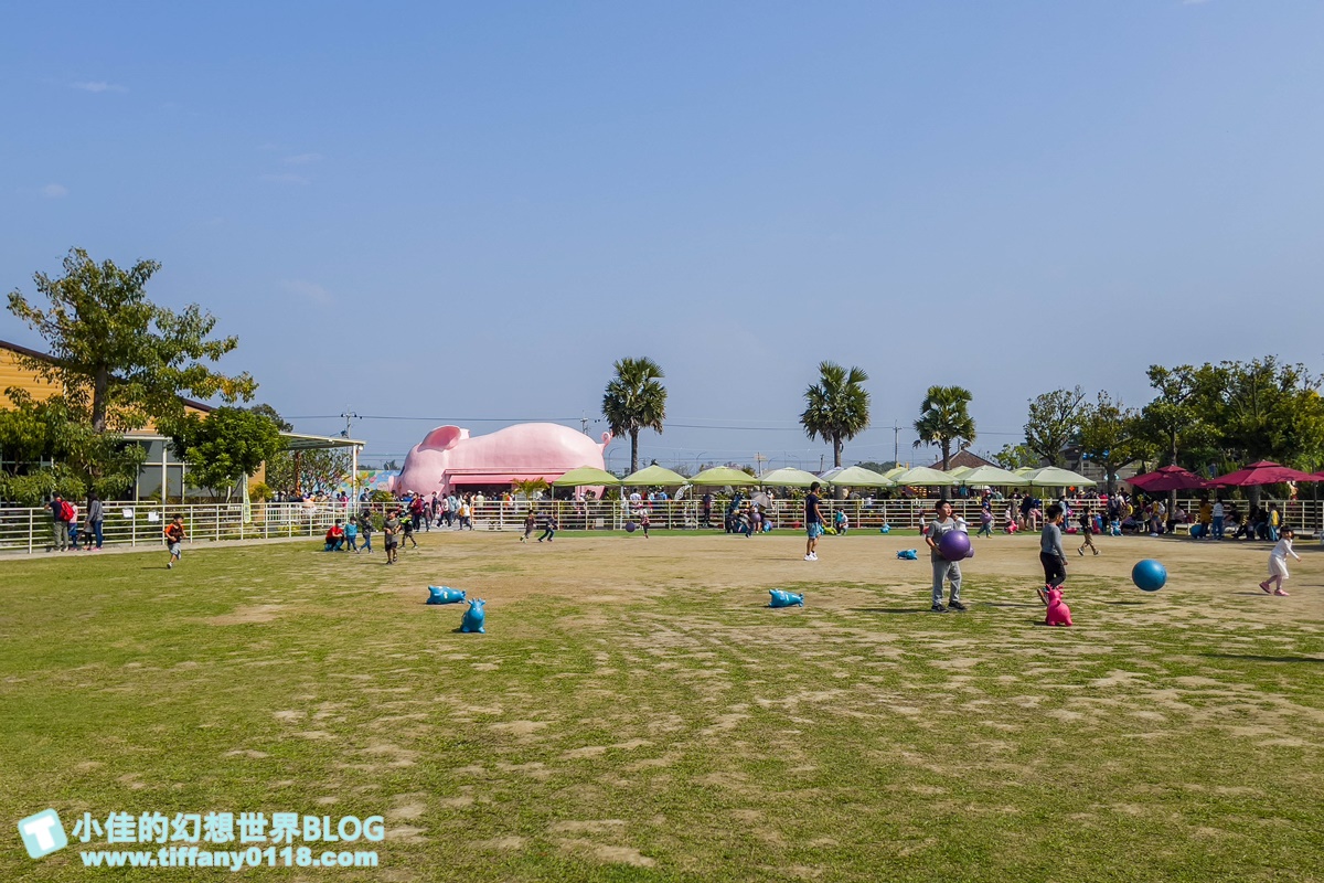 [嘉義景點]三隻小豬觀光農場/大草原+多功能溜滑梯+餵食動物+開放式鳥園+親子DIY/好拍好玩的嘉義親子景點推薦