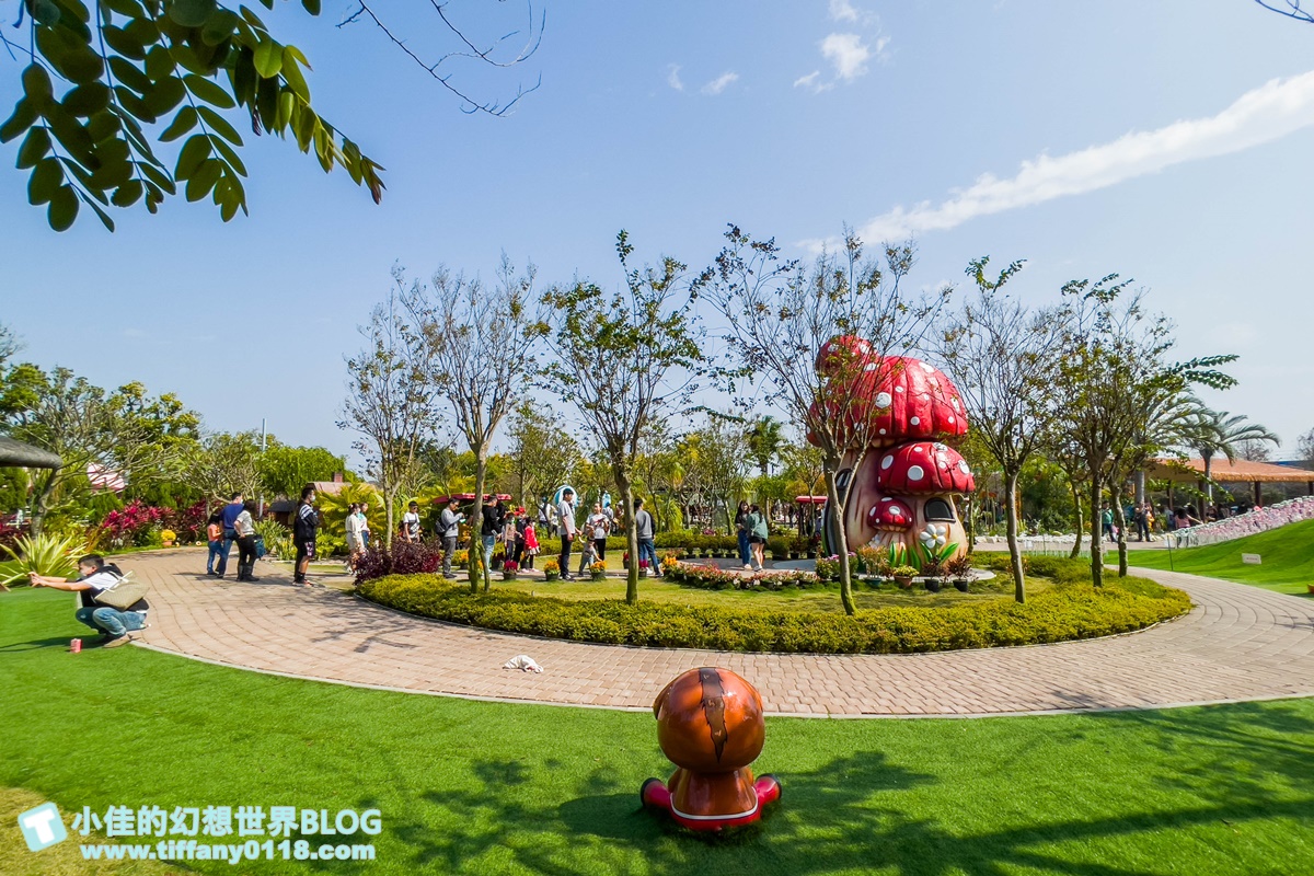 [嘉義景點]三隻小豬觀光農場/大草原+多功能溜滑梯+餵食動物+開放式鳥園+親子DIY/好拍好玩的嘉義親子景點推薦