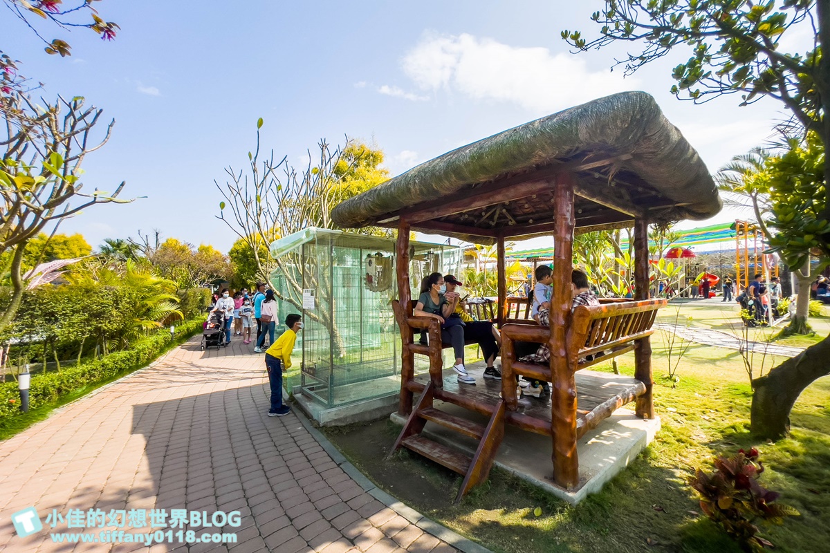 [嘉義景點]三隻小豬觀光農場/大草原+多功能溜滑梯+餵食動物+開放式鳥園+親子DIY/好拍好玩的嘉義親子景點推薦