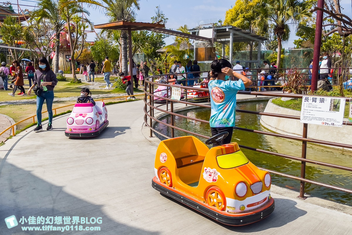 [嘉義景點]三隻小豬觀光農場/大草原+多功能溜滑梯+餵食動物+開放式鳥園+親子DIY/好拍好玩的嘉義親子景點推薦