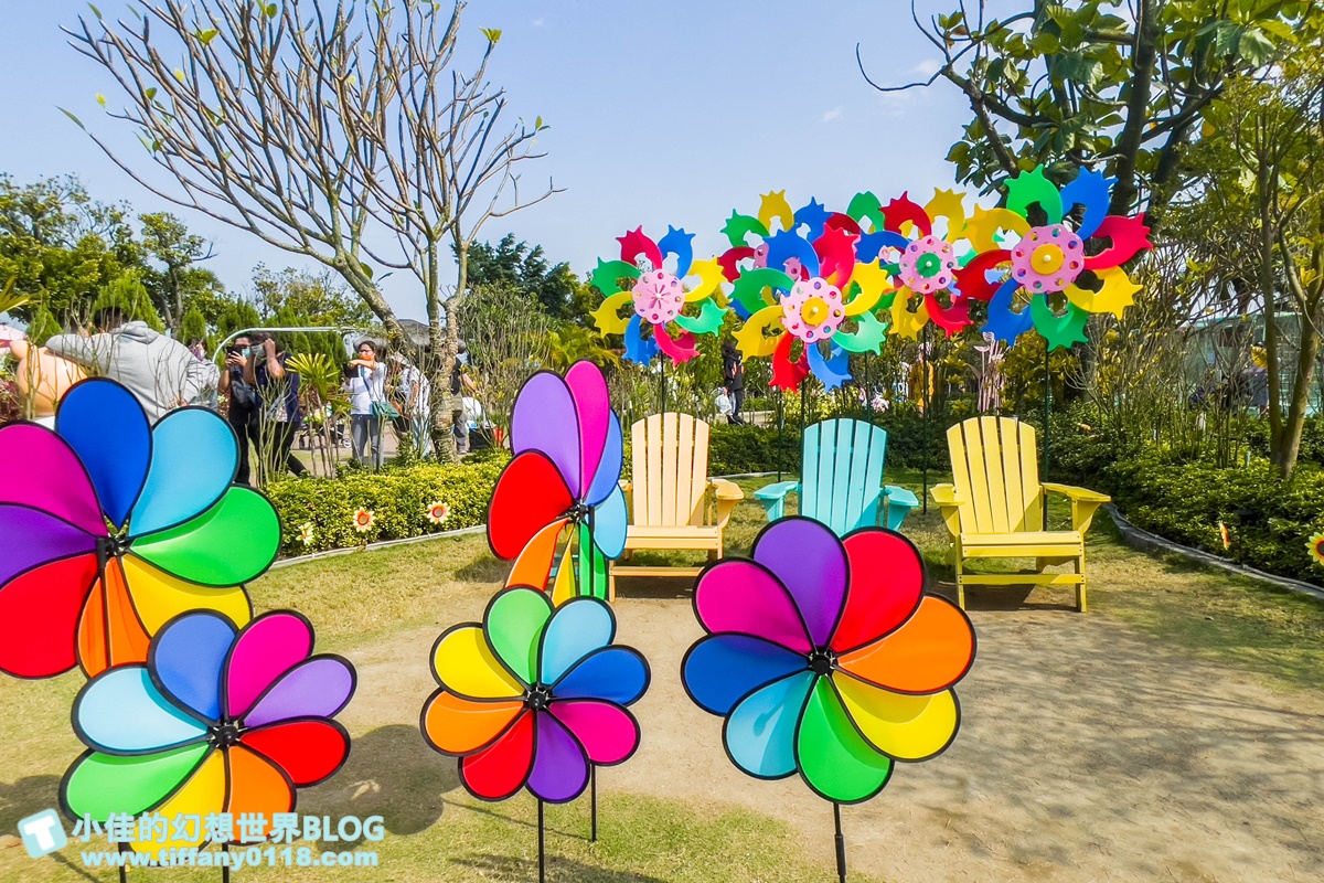 [嘉義景點]三隻小豬觀光農場/大草原+多功能溜滑梯+餵食動物+開放式鳥園+親子DIY/好拍好玩的嘉義親子景點推薦