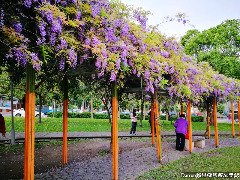 紫藤花桃園
