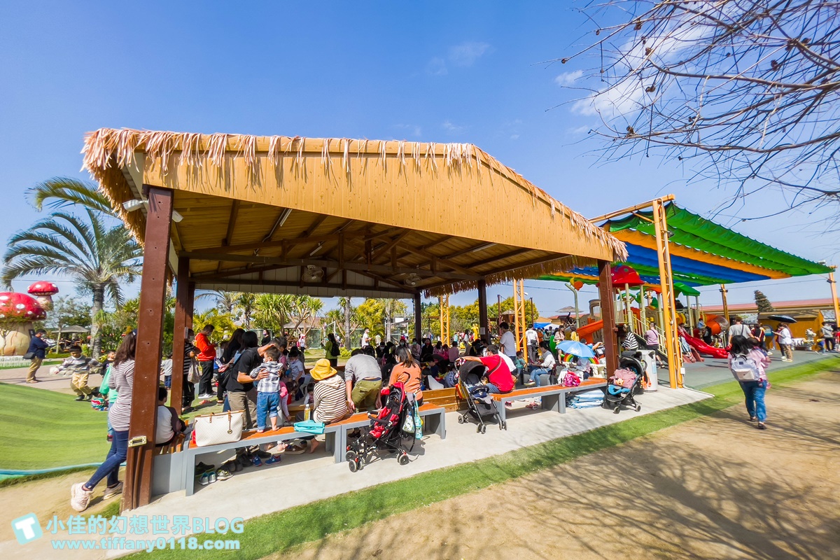 [嘉義景點]三隻小豬觀光農場/大草原+多功能溜滑梯+餵食動物+開放式鳥園+親子DIY/好拍好玩的嘉義親子景點推薦