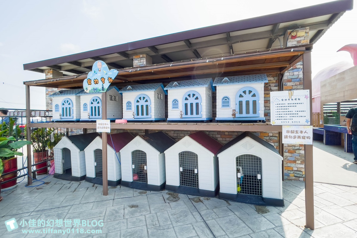 [嘉義景點]三隻小豬觀光農場/大草原+多功能溜滑梯+餵食動物+開放式鳥園+親子DIY/好拍好玩的嘉義親子景點推薦