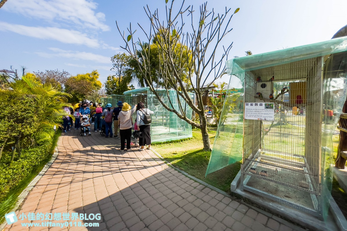[嘉義景點]三隻小豬觀光農場/大草原+多功能溜滑梯+餵食動物+開放式鳥園+親子DIY/好拍好玩的嘉義親子景點推薦