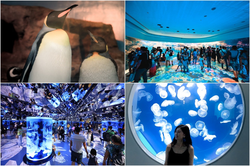 桃園景點:Xpark水族館