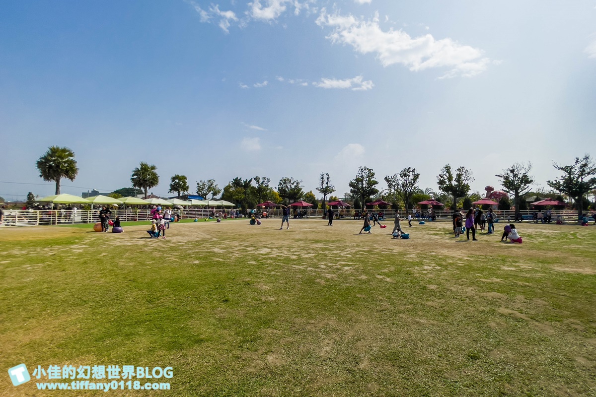 [嘉義景點]三隻小豬觀光農場/大草原+多功能溜滑梯+餵食動物+開放式鳥園+親子DIY/好拍好玩的嘉義親子景點推薦